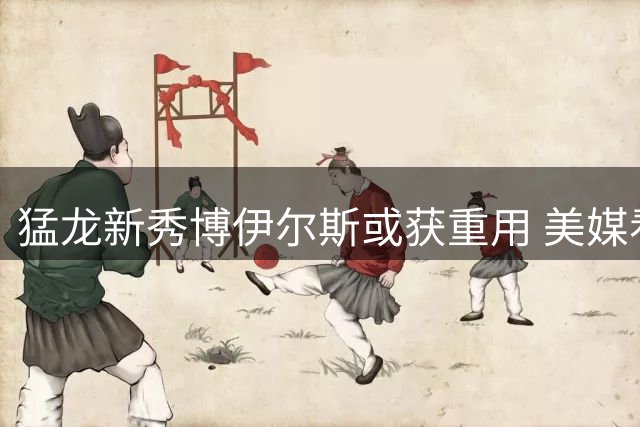 猛龙新秀博伊尔斯或获重用 美媒看好其冲击最佳第六人