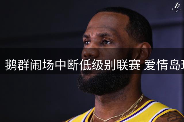 鹅群闹场中断低级别联赛 爱情岛球星染红遭对手调侃
